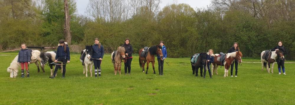 GROUPE DE PONEYS